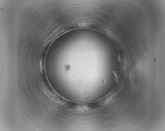 X0000052600262200507221641