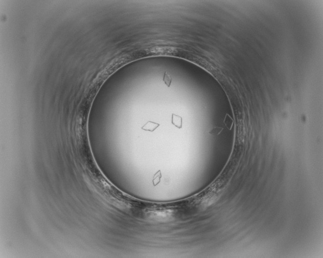 X0000052600263200507221641