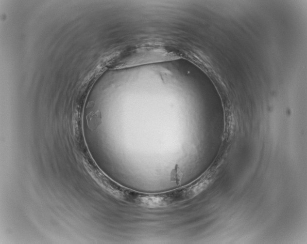 X0000052600265200507221641