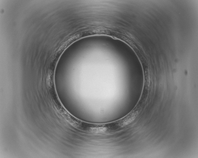 X0000052600266200507221641