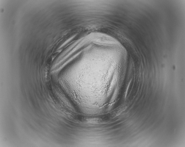 X0000052600268200507221641