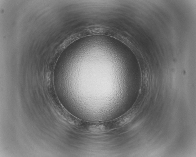 X0000052600271200507221641