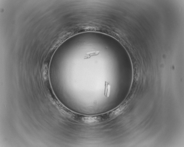 X0000052600273200507221641