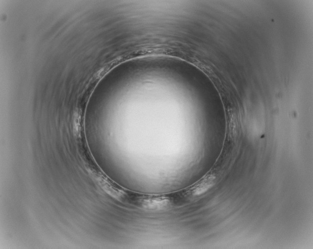 X0000052600274200507221641