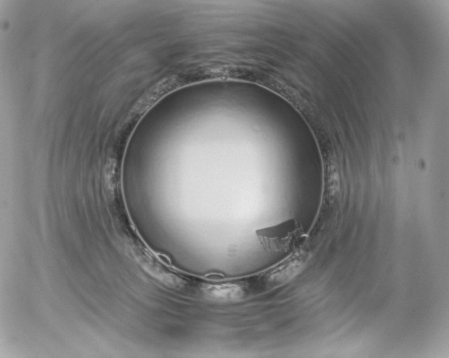 X0000052600275200507221641