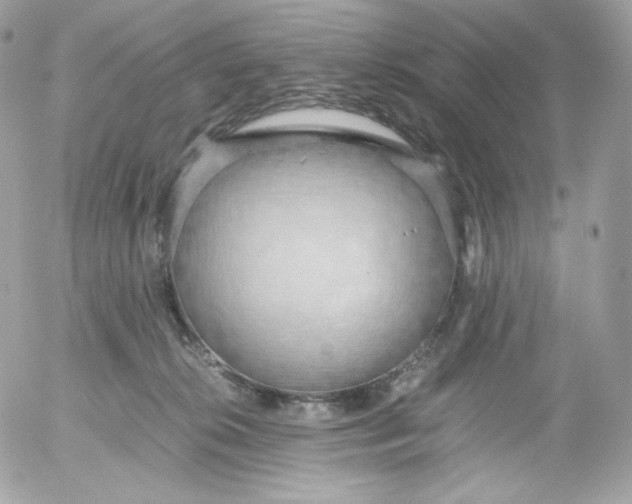 X0000052600276200507221641