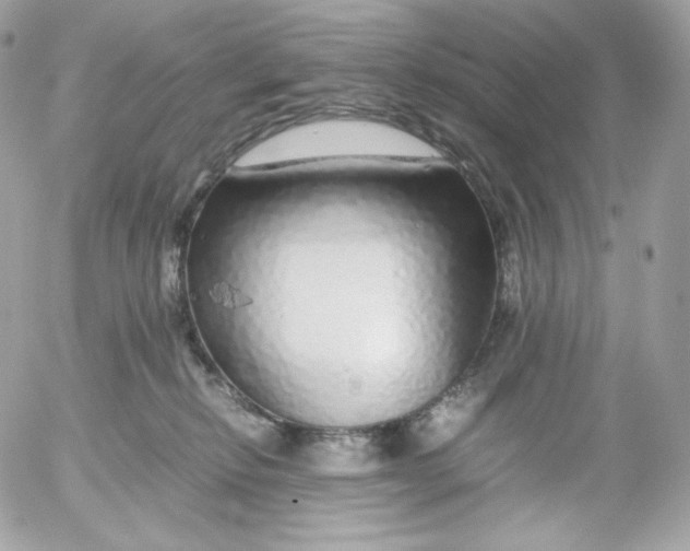 X0000052600278200507221641