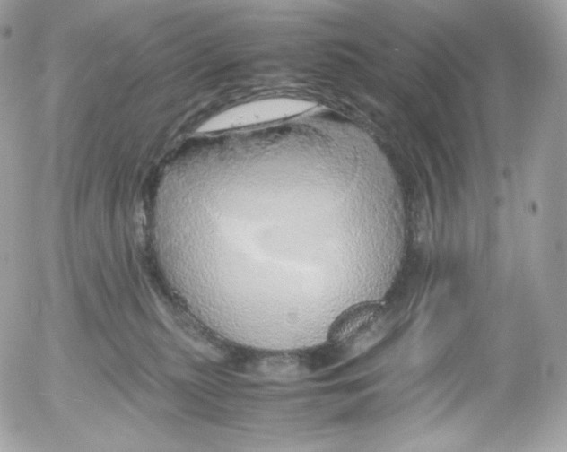 X0000052600279200507221641