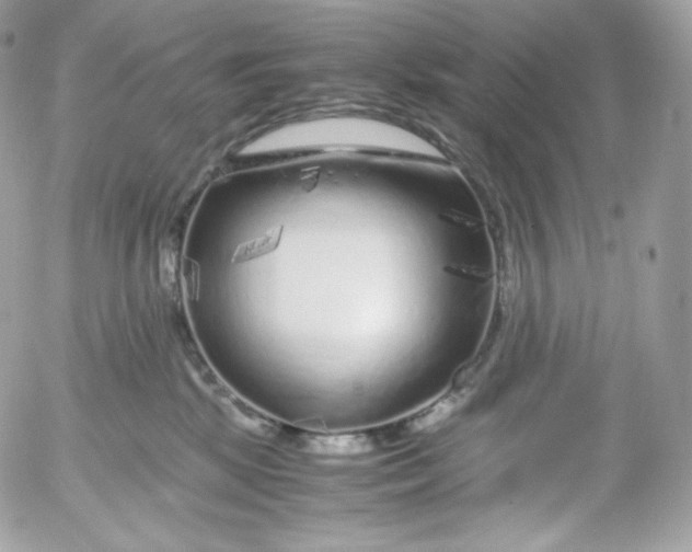 X0000052600281200507221641