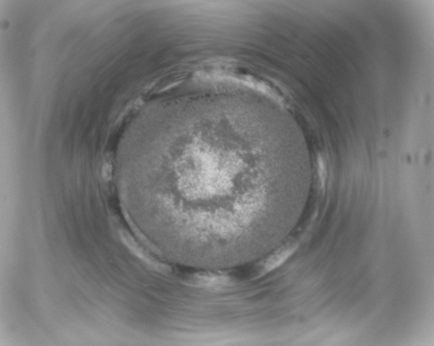 X0000052600284200507221642