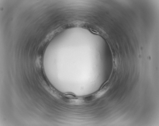 X0000052600286200507221642