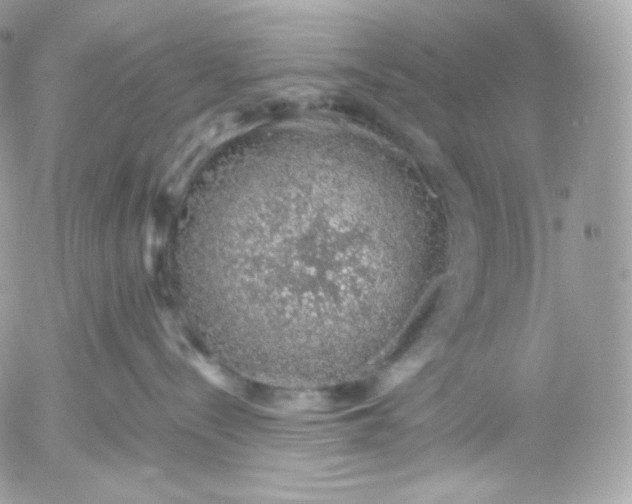 X0000052600288200507221642