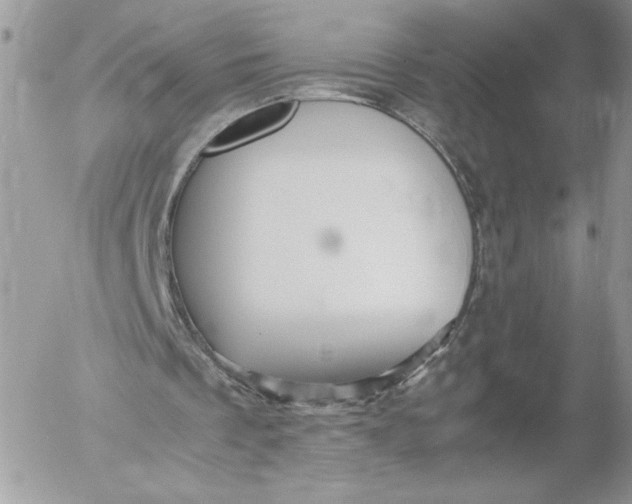 X0000052600289200507221641