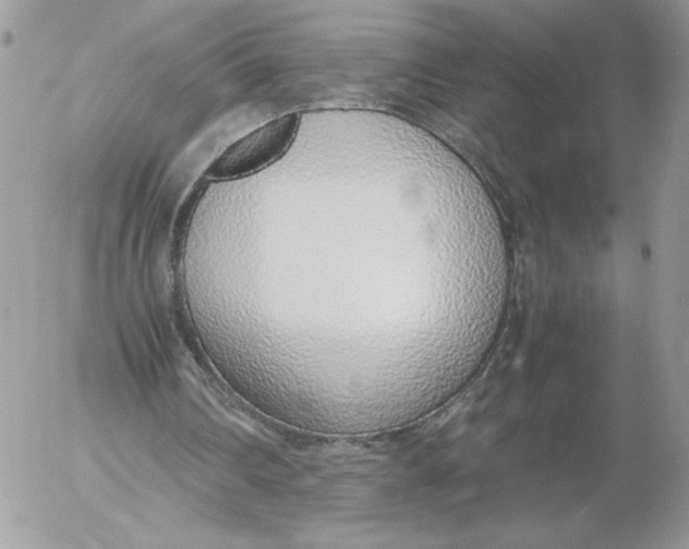 X0000052600290200507221641