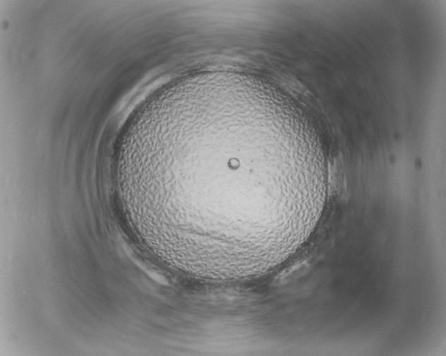 X0000052600291200507221641