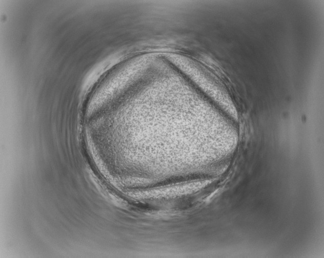 X0000052600293200507221641