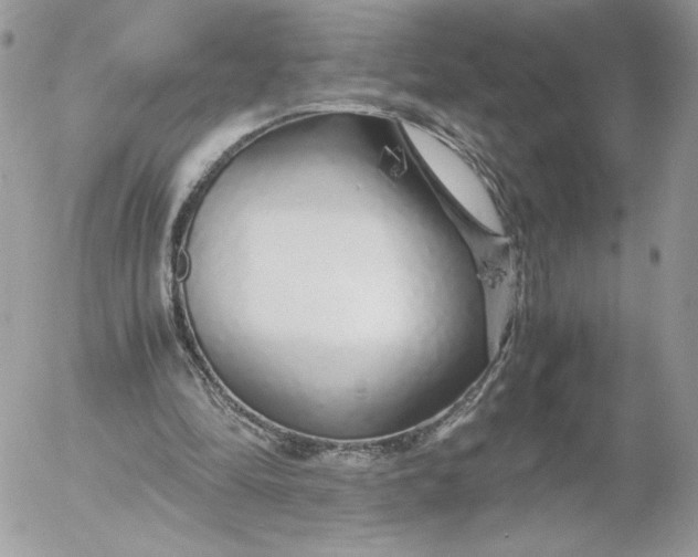 X0000052600294200507221641