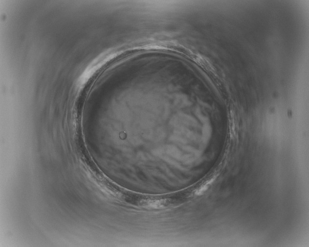 X0000052600295200507221641