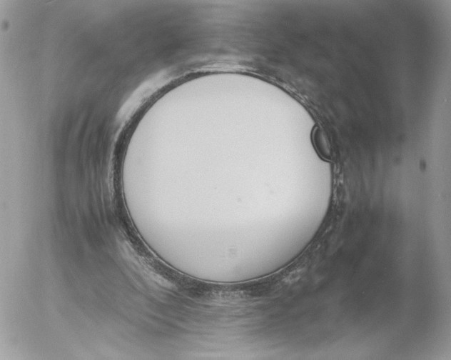 X0000052600296200507221641