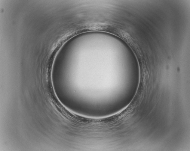 X0000052600299200507221641