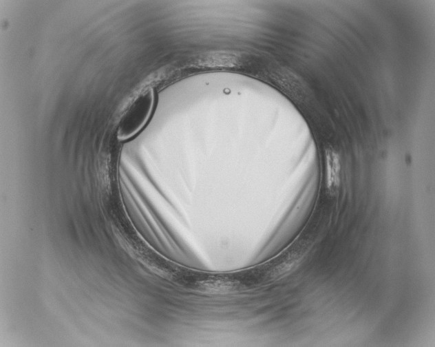 X0000052600300200507221641