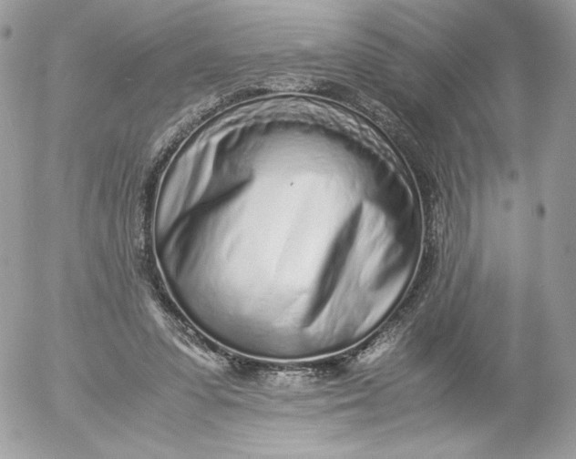 X0000052600303200507221641