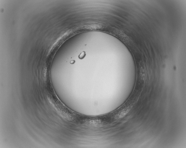 X0000052600304200507221641