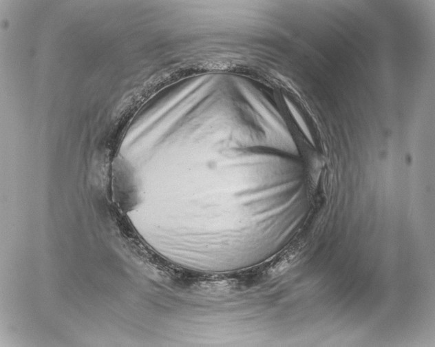 X0000052600307200507221641