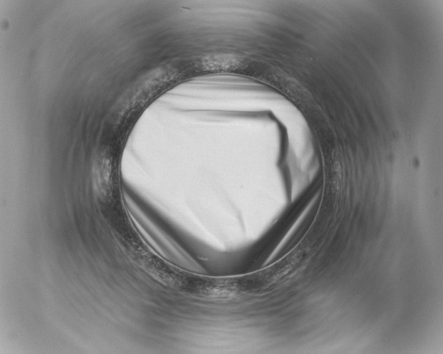 X0000052600308200507221641