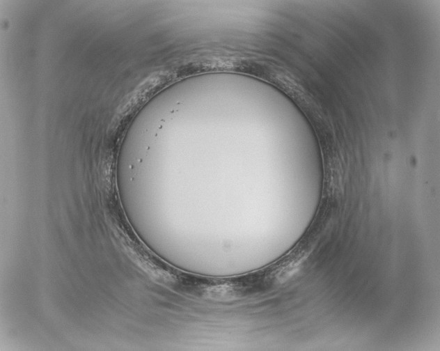 X0000052600309200507221640