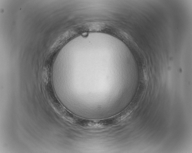 X0000052600311200507221640