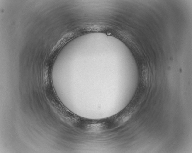 X0000052600312200507221640