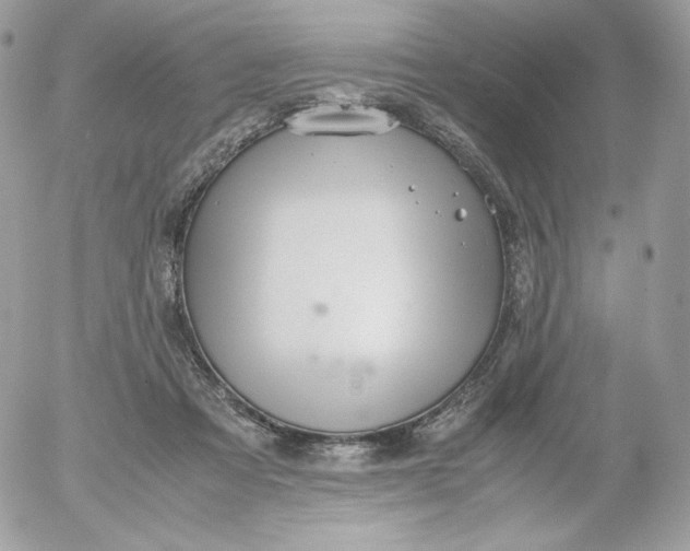 X0000052600313200507221640