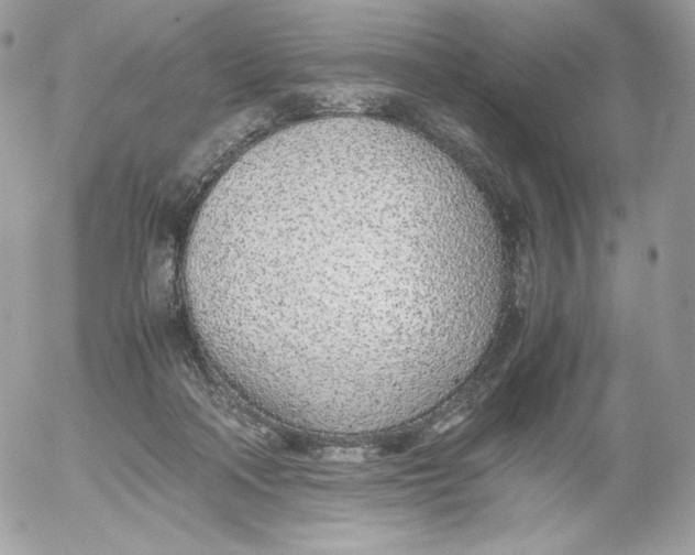 X0000052600314200507221640