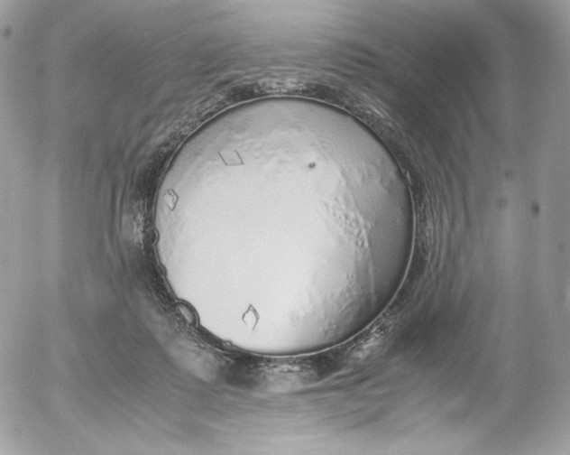 X0000052600315200507221640