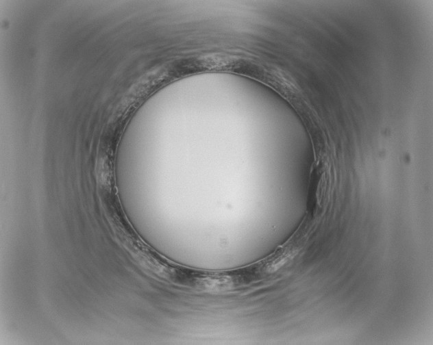 X0000052600317200507221640