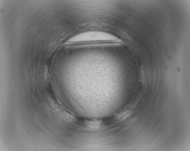 X0000052600318200507221640