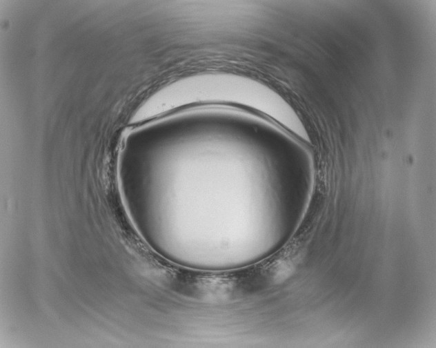 X0000052600319200507221640