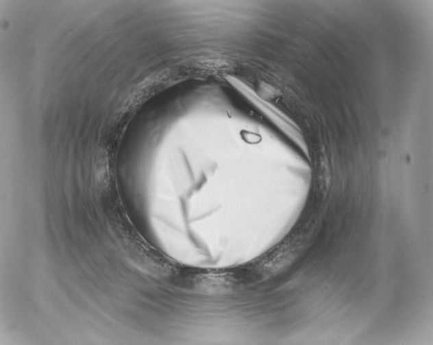 X0000052600320200507221640