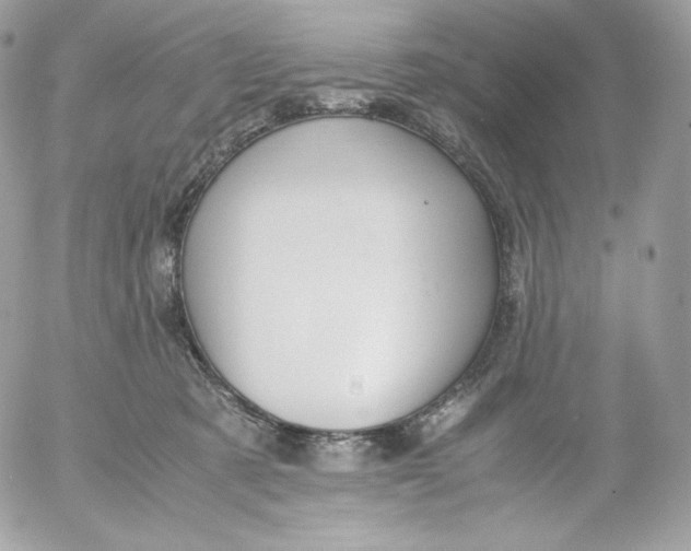 X0000052600321200507221640