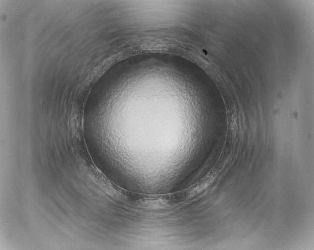 X0000052600322200507221640