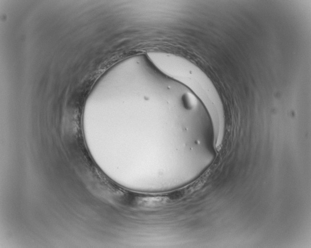 X0000052600323200507221640