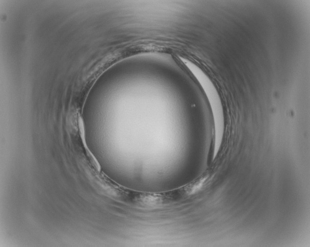 X0000052600325200507221640