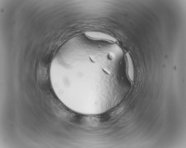 X0000052600327200507221640