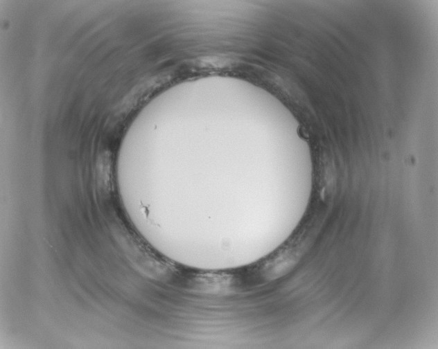 X0000052600328200507221640