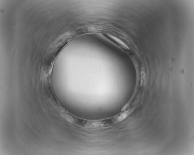 X0000052600329200507221640