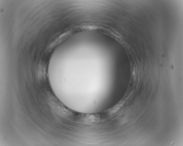 X0000052600330200507221640