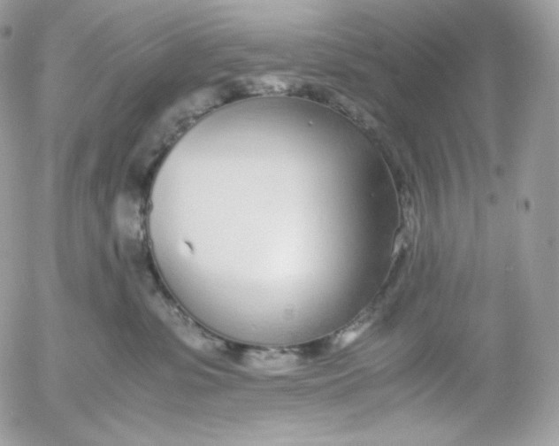 X0000052600331200507221640