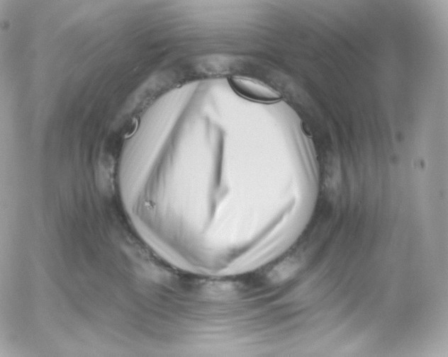 X0000052600332200507221640