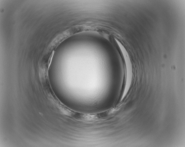 X0000052600333200507221640